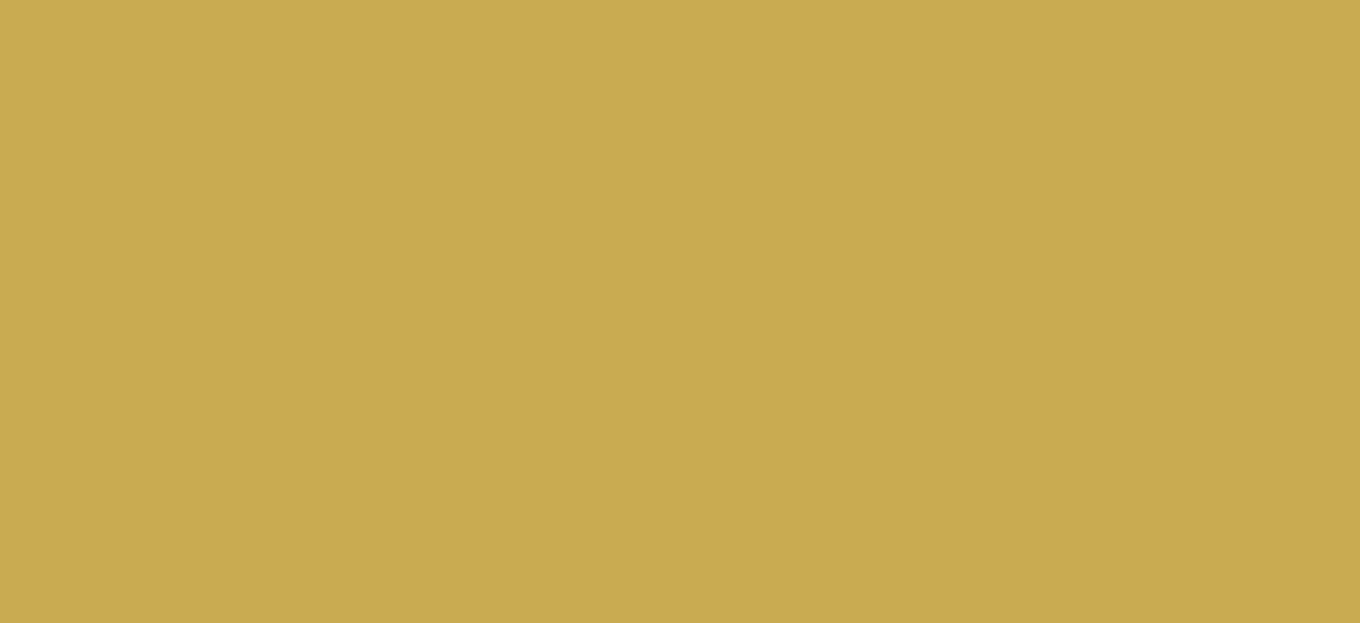 Regular HTV Small Roll (19.5" x 5 yards)
