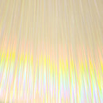 Hologram HTV