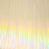 Hologram HTV