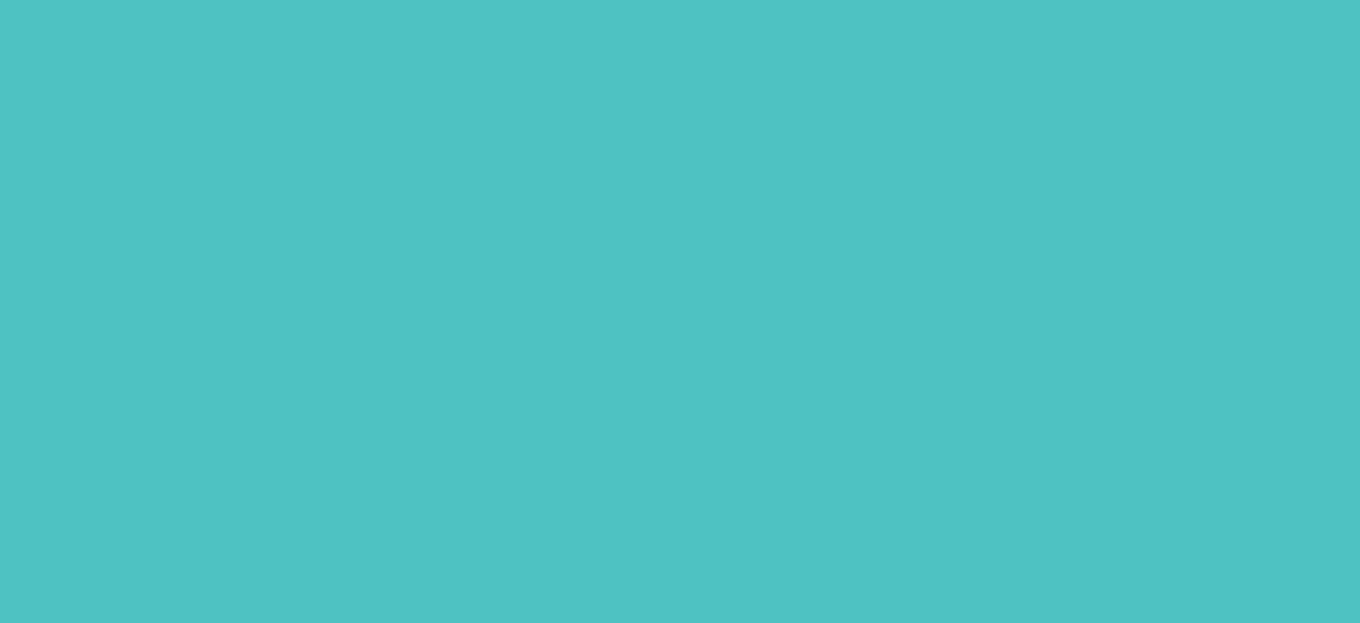 Regular HTV Small Roll (19.5" x 5 yards)