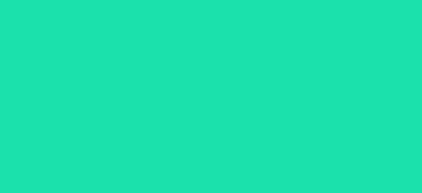 Regular HTV Small Roll (19.5" x 5 yards)