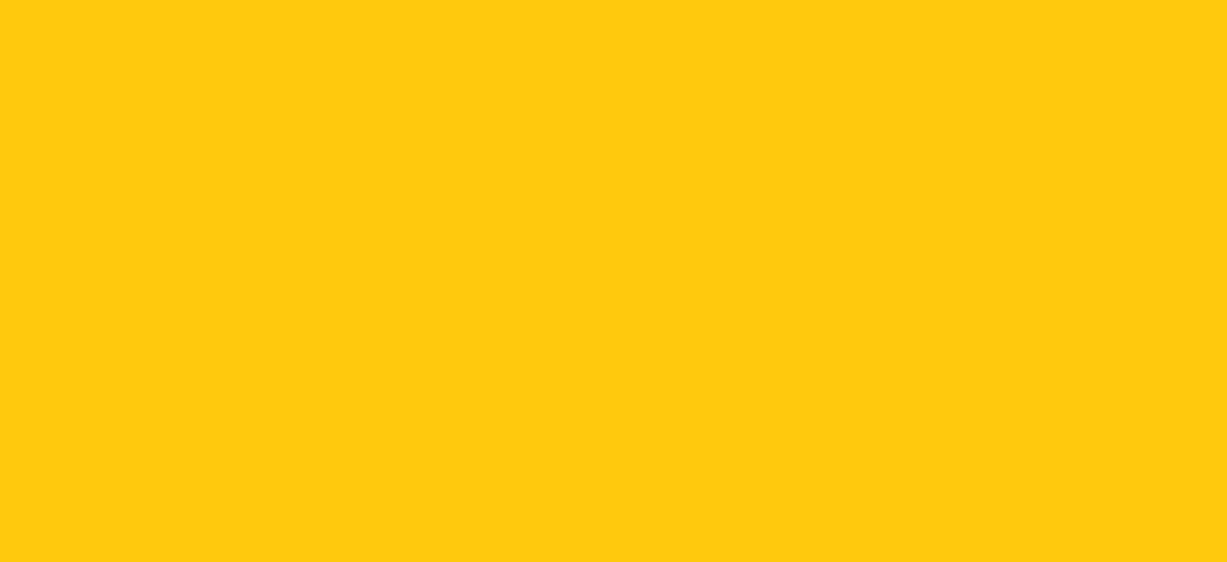 Regular HTV Small Roll (19.5" x 5 yards)
